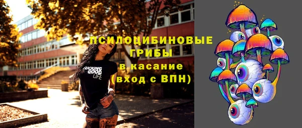 метадон Арсеньев