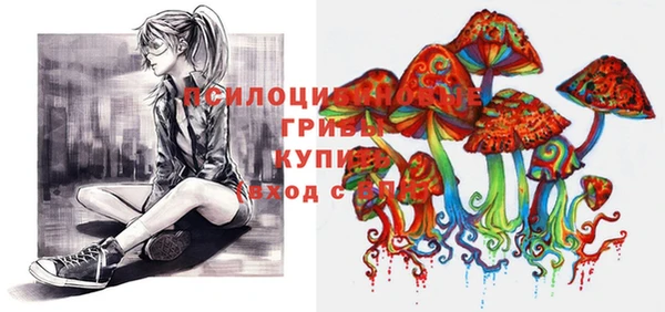 прущая мука Армянск