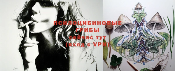 прущая мука Армянск